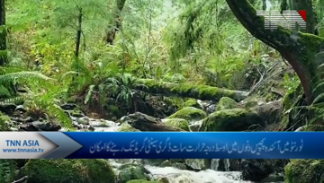 Toronto Weather Update