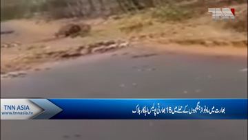 15 Policemen, Driver Killed In Maoist Attack In Maharashtra