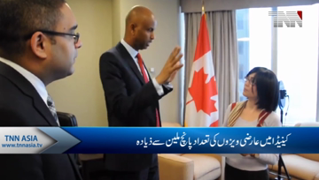 Canada should improve protections for temporary residents amid visa application surge: advocates