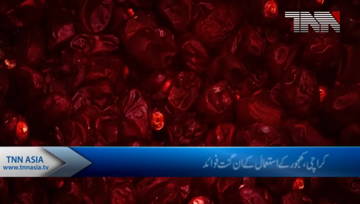 Karachi- Benefits of Palm