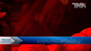 Karachi- King of Fruits Mango