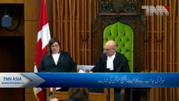 Liberals push climate change motion in attempt to force Conservatives to show policy hand