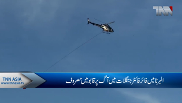 Weather still concern for Alberta firefighters but crews keeping flames at bay