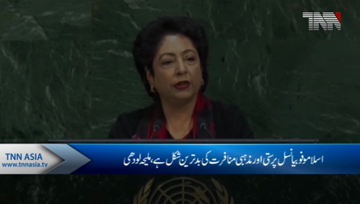 Islamabad- Pakistan calls for UN action to combat Islamophobia