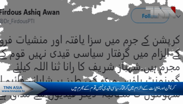 Those arrested in drug cases not political prisoners but nation's culprits: Firdous