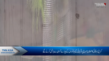 Karachi- Prices of sacrificial animals' feed shoot up