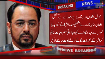 Kabul- Afghanistan's Foreign Minister, Salahuddin Rabbani, has resigned from his post