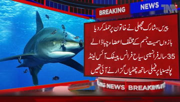 Paris- Shark attacked the woman, chewing various parts of her body