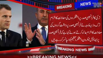 Ankara- Turkish Foreign Minister dismissed French President criticism of Turkey's offensive in Syria against Kurdish YPG militia, saying French leader sponsors terrorism