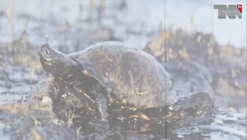 Karachi- Barracuda Exercise to commence from Dec 2