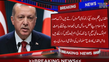 Ankara- Turkey generally feels alone regarding the situation of Palestine, but will not stop defending the cause, President Tayyip Erdogan. 