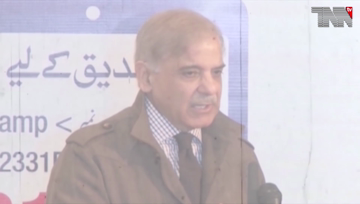 London- Imran Niazi-NAB alliance froze my assets: Shahbaz Sharif