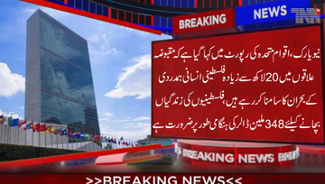 New York- $ 348m needed to save 2 million Palestinians, Palestinians are facing a humanitarian crisis, United Nation Organization (UNO) says