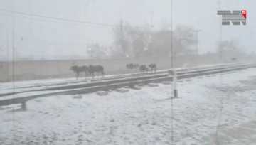 Karachi- Cold weather conditions continue in most parts of country,Quetta receives first snowfall of year