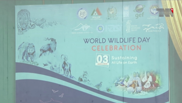 Islamabad- World Wildlife Day being observed today to sustain all life on Earth