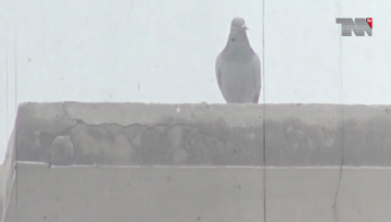 Peshawar- KPK rains kill 5, injure 8