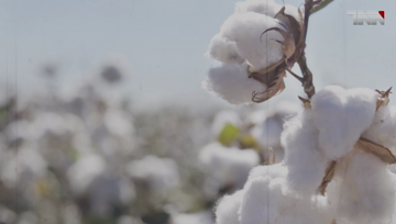 Karachi- remittances will also decrease in the coming days, State Bank