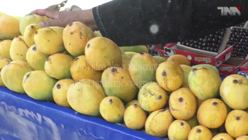 Karachi- Mango prices hike in beginning  
