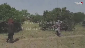 Islamabad- Joint Teams Clear 604000 Hectares Land From Desert Locust,NDMA