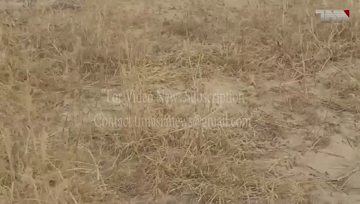 Karachi- NDMA executes pesticide spray on over 507,800 acres of land to eliminate locust