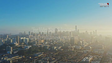 Karachi- World Environment Day 2020: Theme, importance of biodiversity