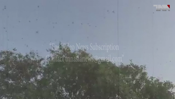 Quetta- Balochistan farmers harvest premature crops in fears of locust attacks