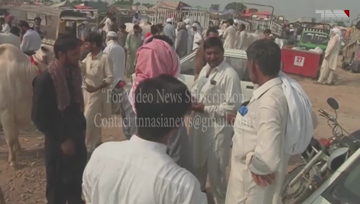 Lahore- Punjab govt issues Guidelines for cattle markets ahead of Eid-ul-Azha