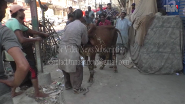 Karachi- Eid-ul-Azha festivities, animal sacrifices continue on third day