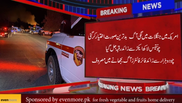 7 People Die in West Coast Wildfires Strong winds were likely to continue to propel the extraordinary number of fires burning in California