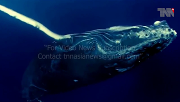 Islamabad- Declaring 2020 as the Year of Blue Economy by Pakistan is a Positive Step, Admiral Zafar Mahmood Abbasi's Message on the Occasion of World Maritime Day