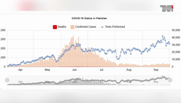 Islamabad- Pakistan Coronavirus: 313,431 Cases and 6,499 Deaths 