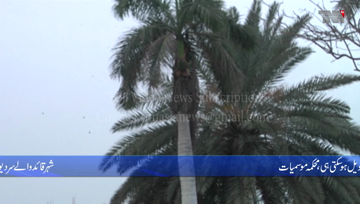 Karachi- City Will Receive A Long and Harsh Winter This Year: PMD