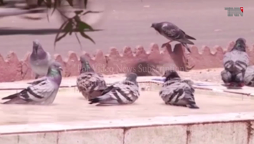 Karachi- Intensity of heat likely to increase in Karachi: Met Office