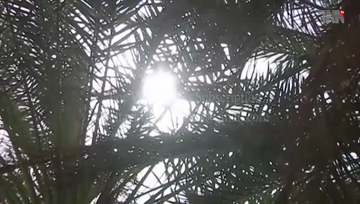 Karachi to experience heatwave for next 6-8 days: Met Office