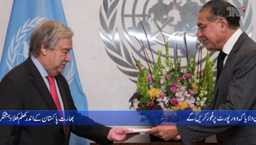 Islamabad- India involved in terrorism in Pakistan: Munir Akram