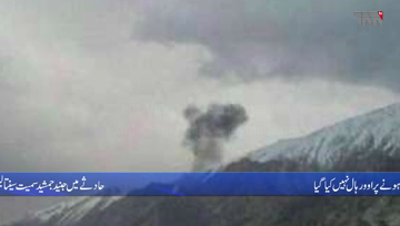 Islamabad- PIA Engineers responsible for Havelian plane crash , says probe report