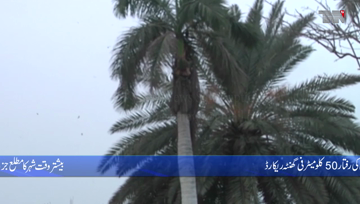 Karachi- Cold winds will continue in Karachi for the next two to three days, Meteorological Department