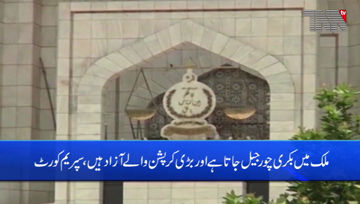 Islamabad- A goat thief goes to jail in country and those involved in major corruption are free, Supreme Court