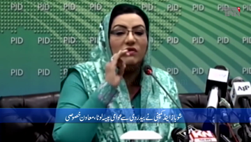 lahore- The government is healing the economic wounds of the Noon League, Says Firdos Ashiq