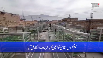 Quetta- A NGO has installed a solar-powered plant to teach seasonal fruits and vegetables to be safe