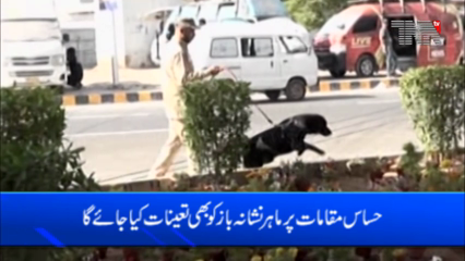 Karachi- Commandoes float as they guard Karachi's cricket stadium