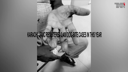 Karachi- JPMC registered 2,400 dog-bite cases in this year