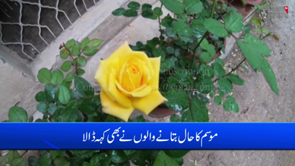 Karachi- Meteorological Department warned 