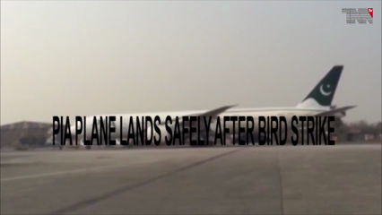 Karachi- PIA plane lands safely after bird strike