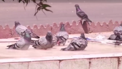 Meteorological Department issued the 2nd heatwave alert for Karachi 