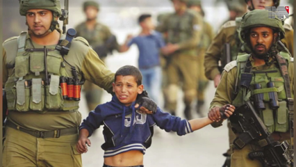 Islamabad: OIC should take immediate steps to stop Israeli aggression: Foreign Minister 