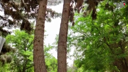 Quetta- 2 talented students of Balochistan University have succeeded in making human robots