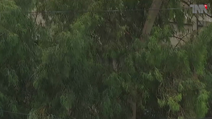 Drizzle and strong sea winds are expected in Karachi for the next three days