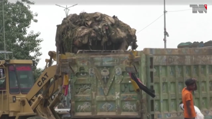 Karachi- Animal waste rots on Karachi roads, people face difficulties