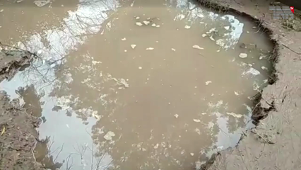 Rain in Lahore, other parts of Punjab turns weather pleasant